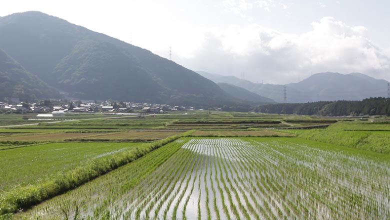 はじまりの家（新築）